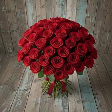 Букет 55 Красных роз Фридом #REPLACE_PRED# Красном-на-Волге