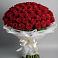 Букет 101 Красная роза Блэк Мэджик в Красном-на-Волге