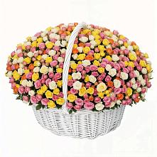 Премиум букет из: Розы в Красном-на-Волге