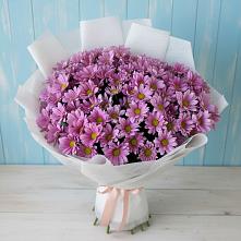 Букет цветов из:  Хризантемы в Красном-на-Волге