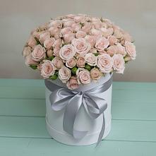 Цветочная композиция из Розы в шляпной коробке #REPLACE_PRED# Красном-на-Волге