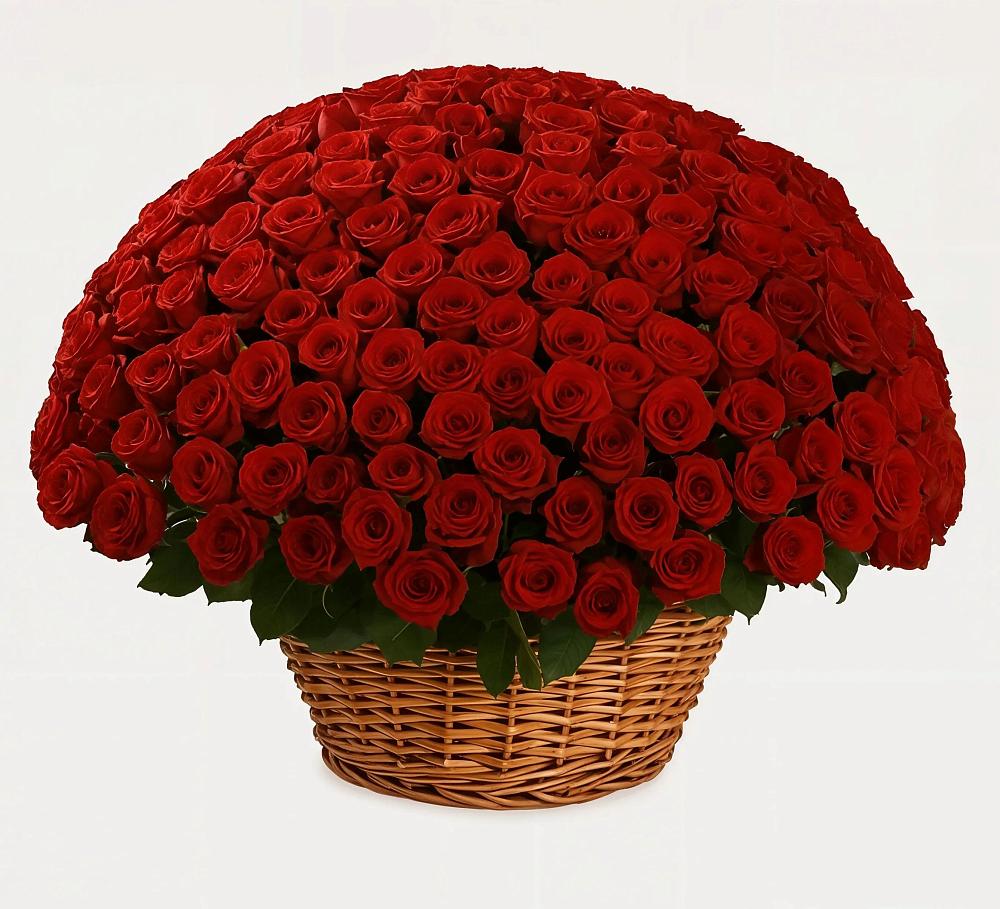 Премиум букет из: Розы в Красном-на-Волге