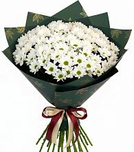 Букет цветов из:  Хризантемы в Красном-на-Волге