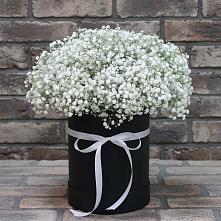 Цветочная композиция из Гипсофила в шляпной коробке в Красном-на-Волге