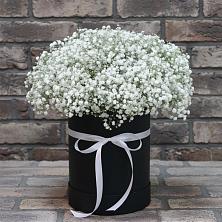 Цветочная композиция из Гипсофила в шляпной коробке в Красном-на-Волге