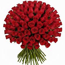 Букет Красные розы Чери Лав #REPLACE_PRED# Красном-на-Волге