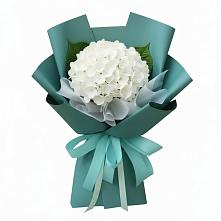 Букет цветов из:  Гортензия в Красном-на-Волге